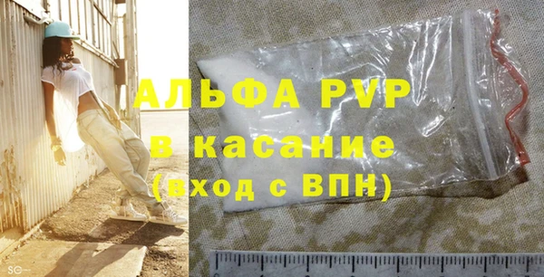 стаф Алзамай