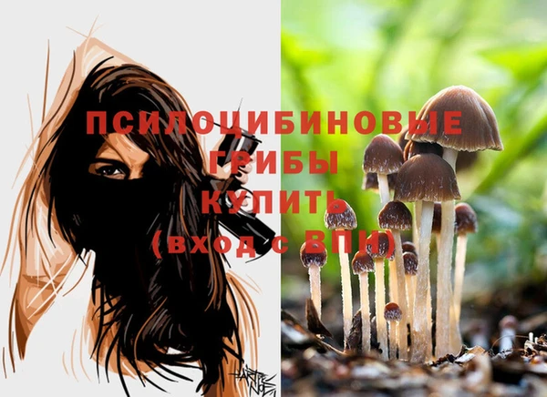 PSILOCYBIN Алексеевка