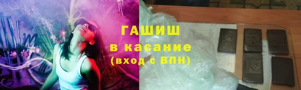 стаф Алзамай
