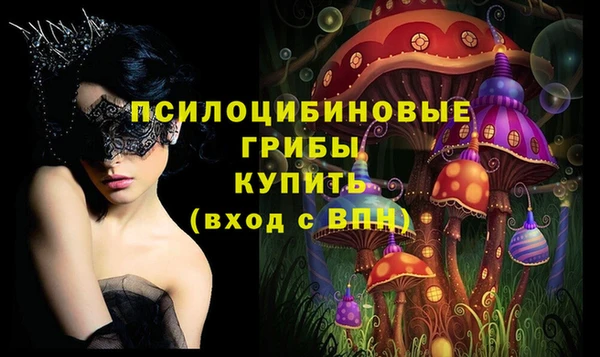 стаф Алзамай