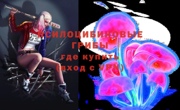 PSILOCYBIN Алексеевка