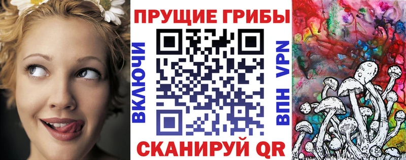 Псилоцибиновые грибы GOLDEN TEACHER  MEGA как зайти  Новоузенск 