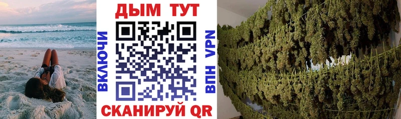 Бошки марихуана ГИДРОПОН  МЕГА вход  дарк нет какой сайт  Новоузенск 